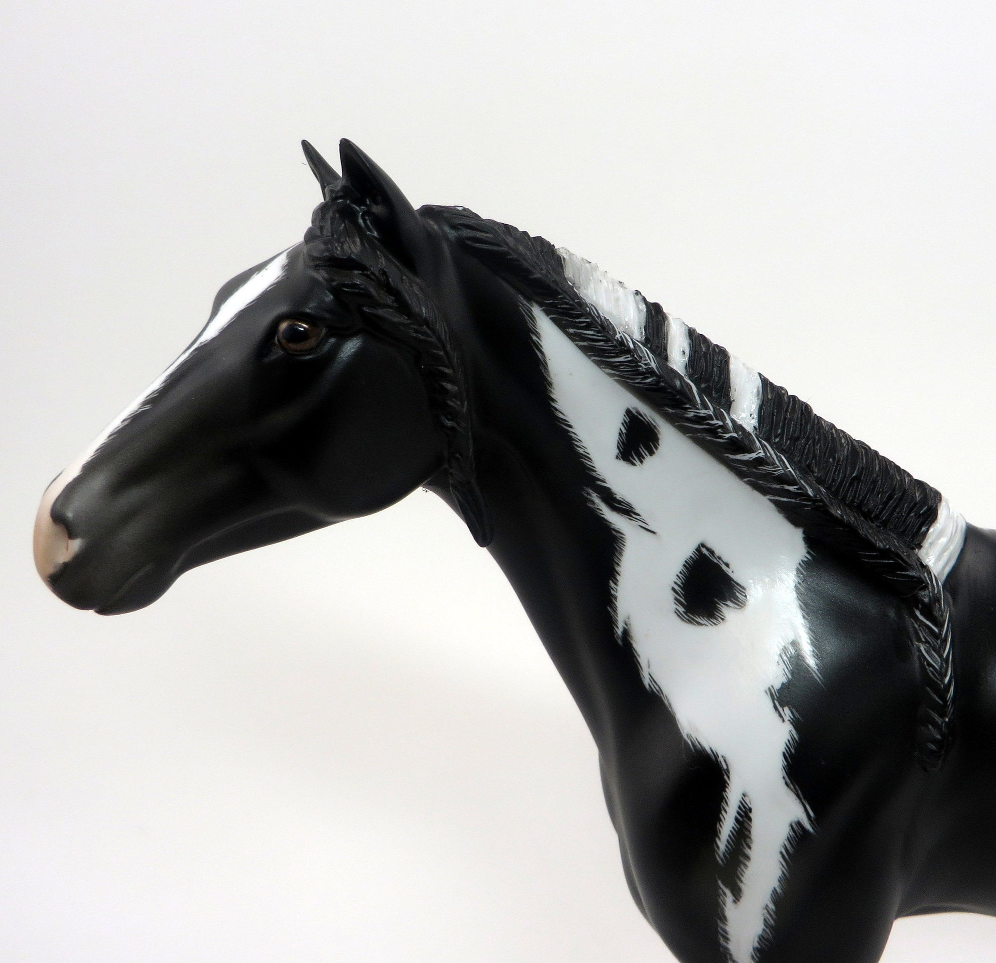 HOTOTO-BLACK AND WHITE PINTO-LE-6-MUSTANG 9/22