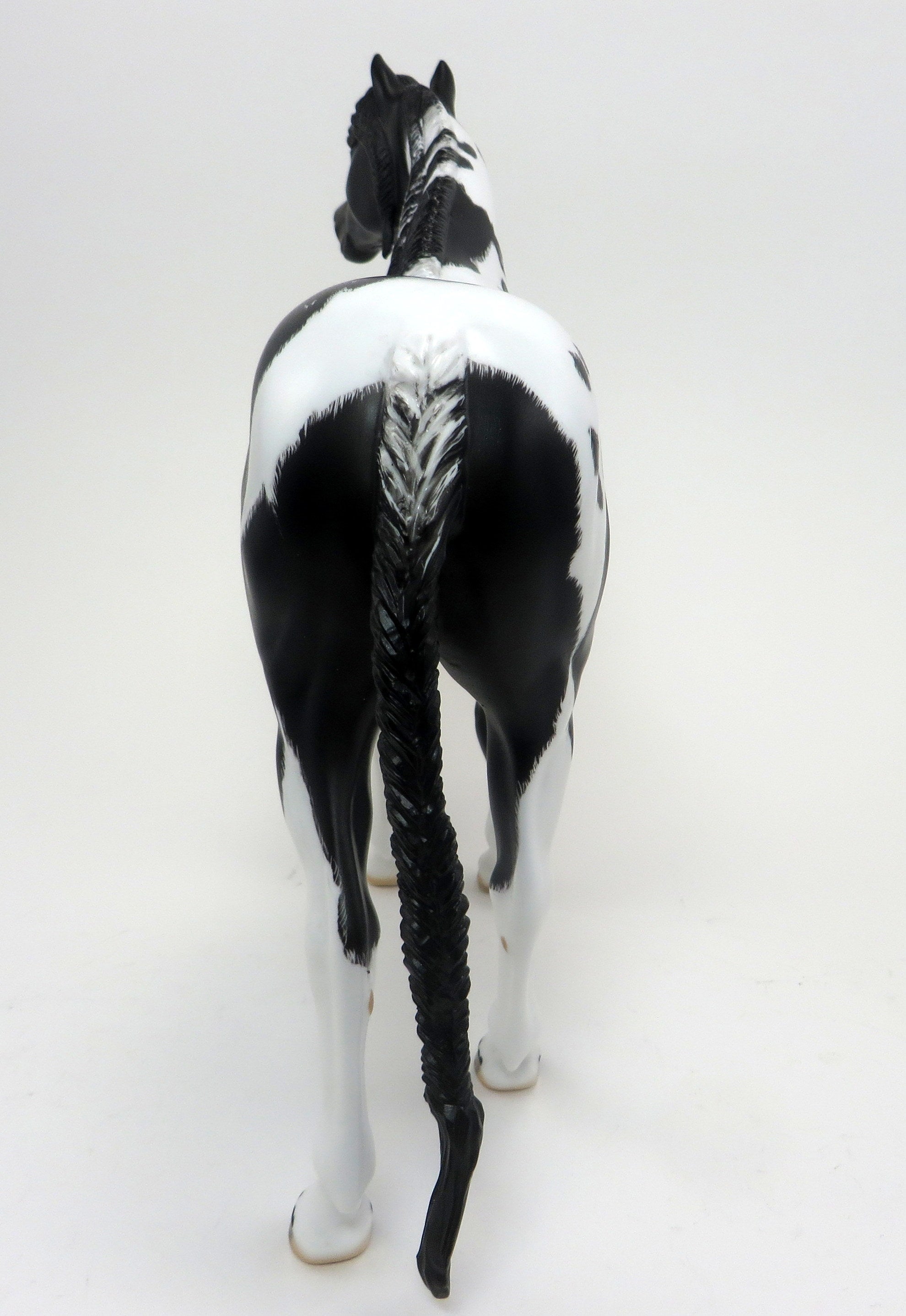 HOTOTO-BLACK AND WHITE PINTO-LE-6-MUSTANG 9/22