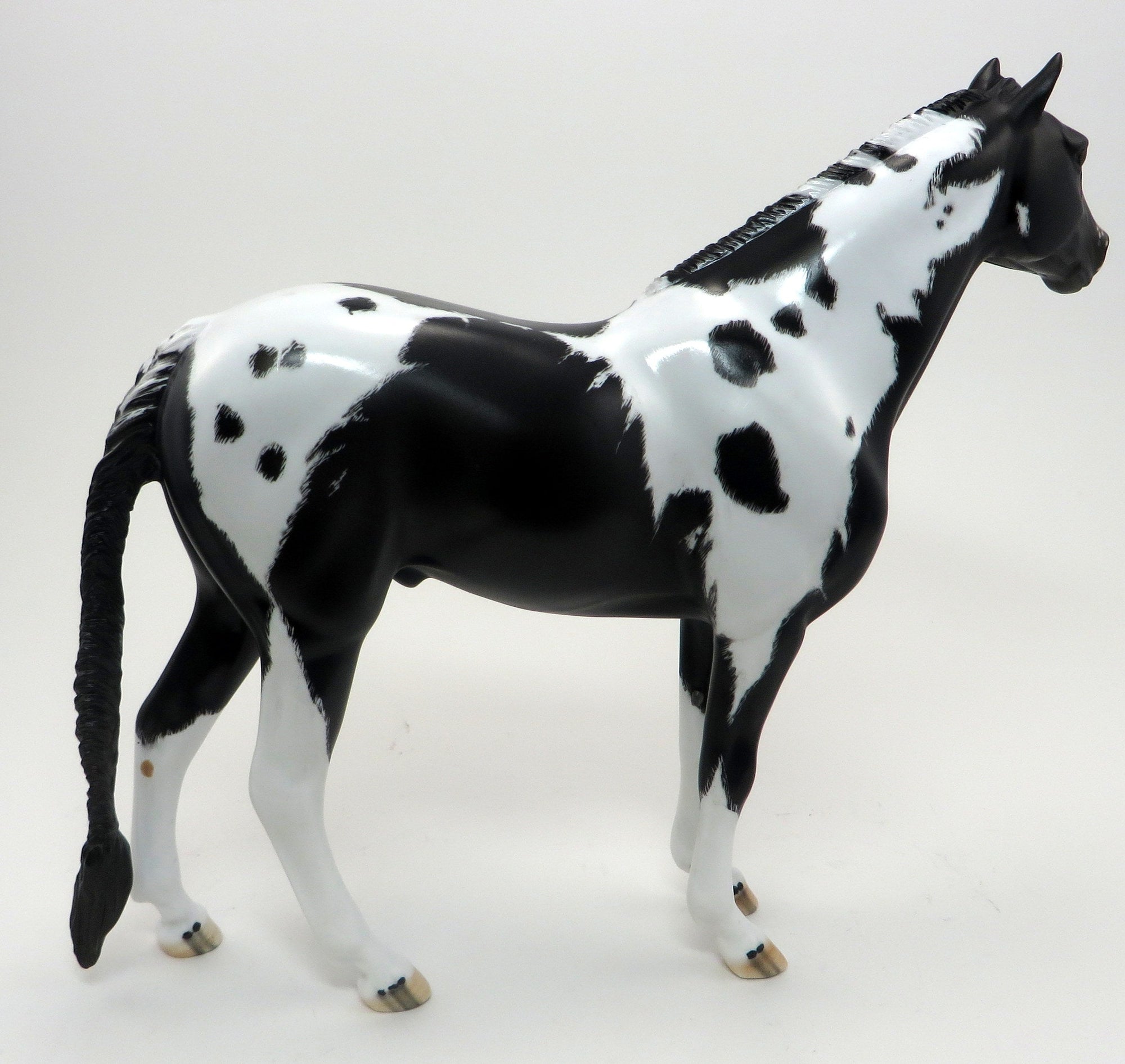 HOTOTO-BLACK AND WHITE PINTO-LE-6-MUSTANG 9/22