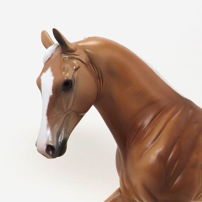 Caroline Boydston Palomino