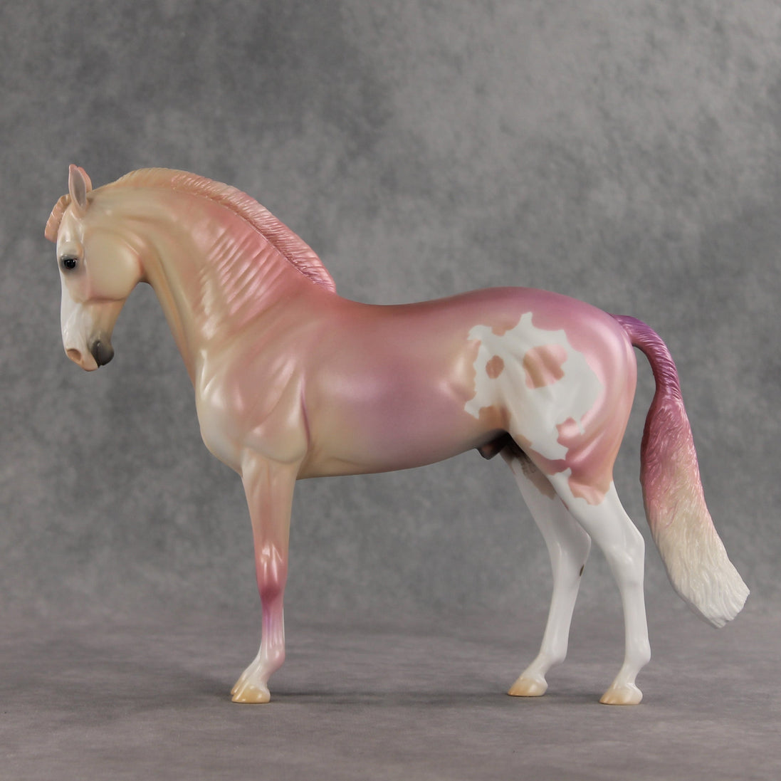 Icing on the Cake OOAK FCM Andalusian by Jess Hamill VV26