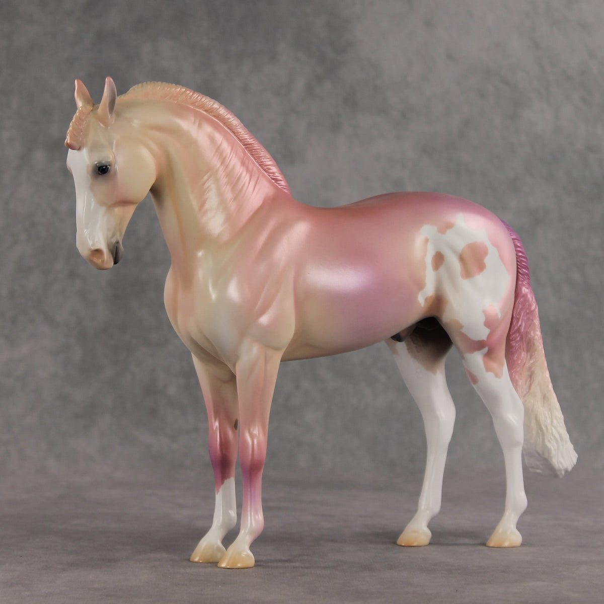 Icing on the Cake OOAK FCM Andalusian by Jess Hamill VV26