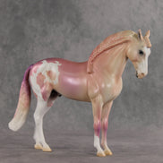Icing on the Cake OOAK FCM Andalusian by Jess Hamill VV26