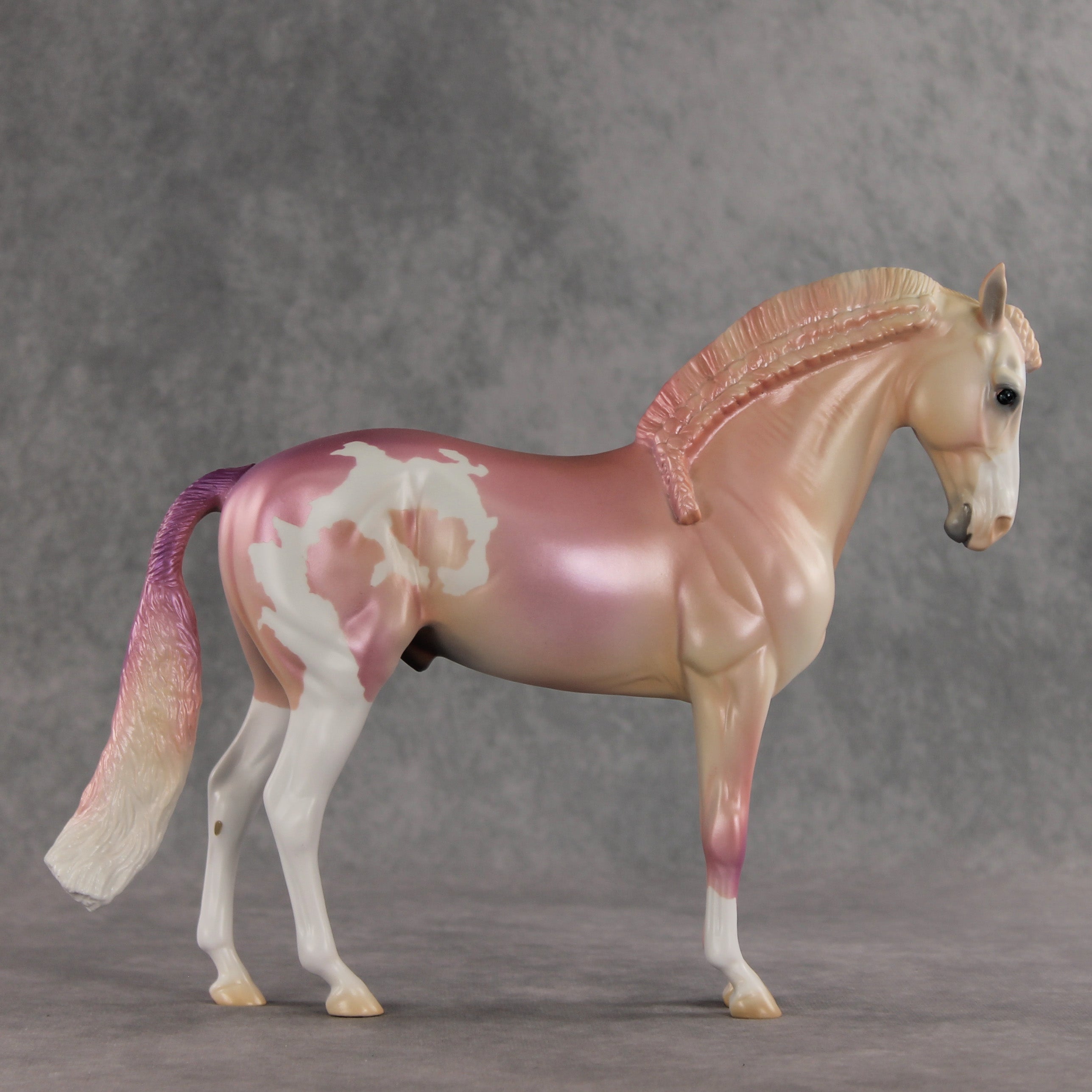 Icing on the Cake OOAK FCM Andalusian by Jess Hamill VV26