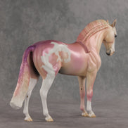Icing on the Cake OOAK FCM Andalusian by Jess Hamill VV26