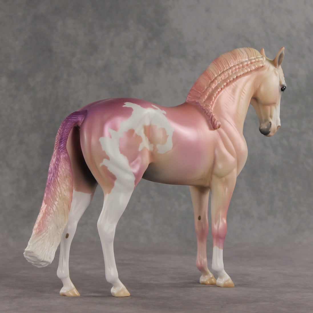 Icing on the Cake OOAK FCM Andalusian by Jess Hamill VV26