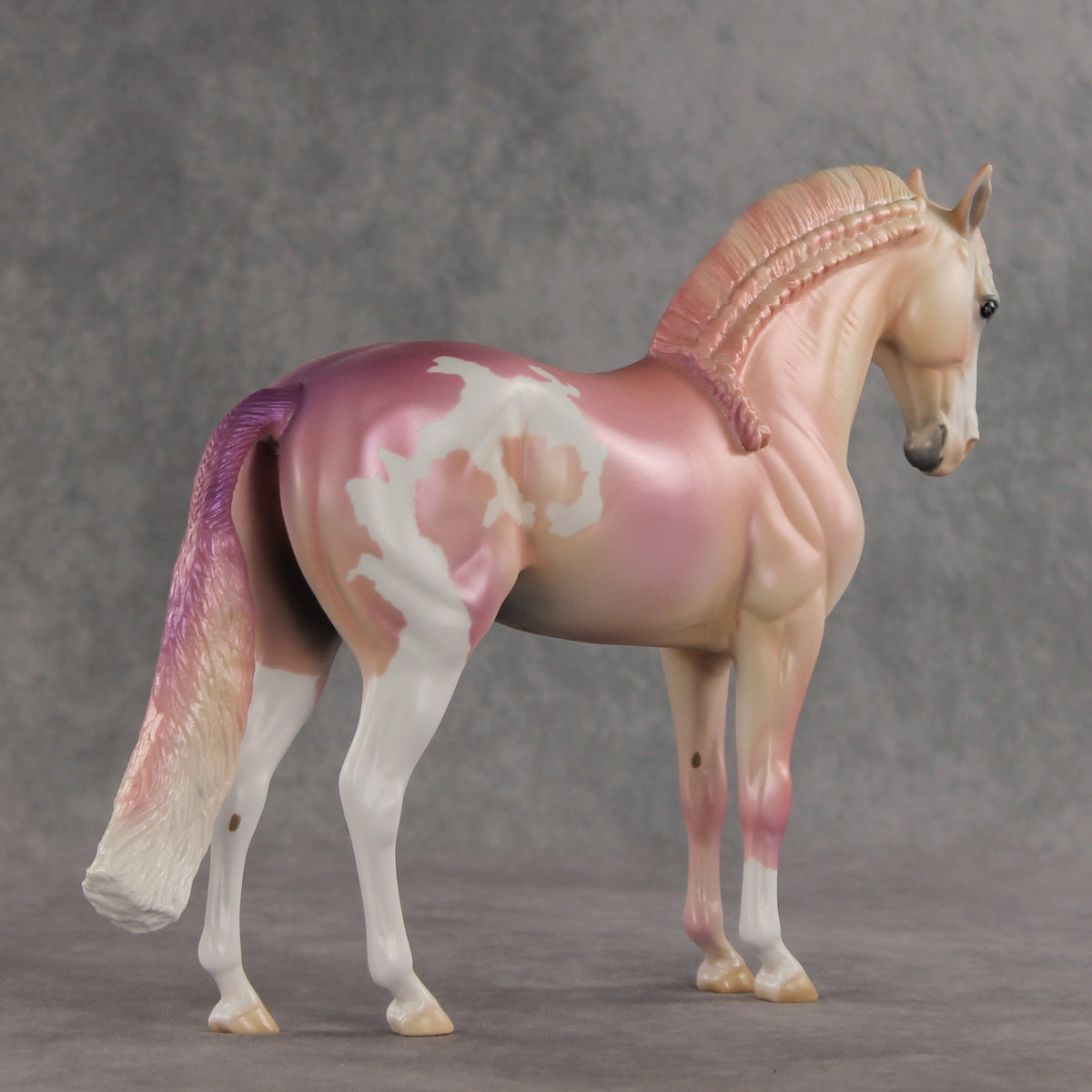 Icing on the Cake OOAK FCM Andalusian by Jess Hamill VV26