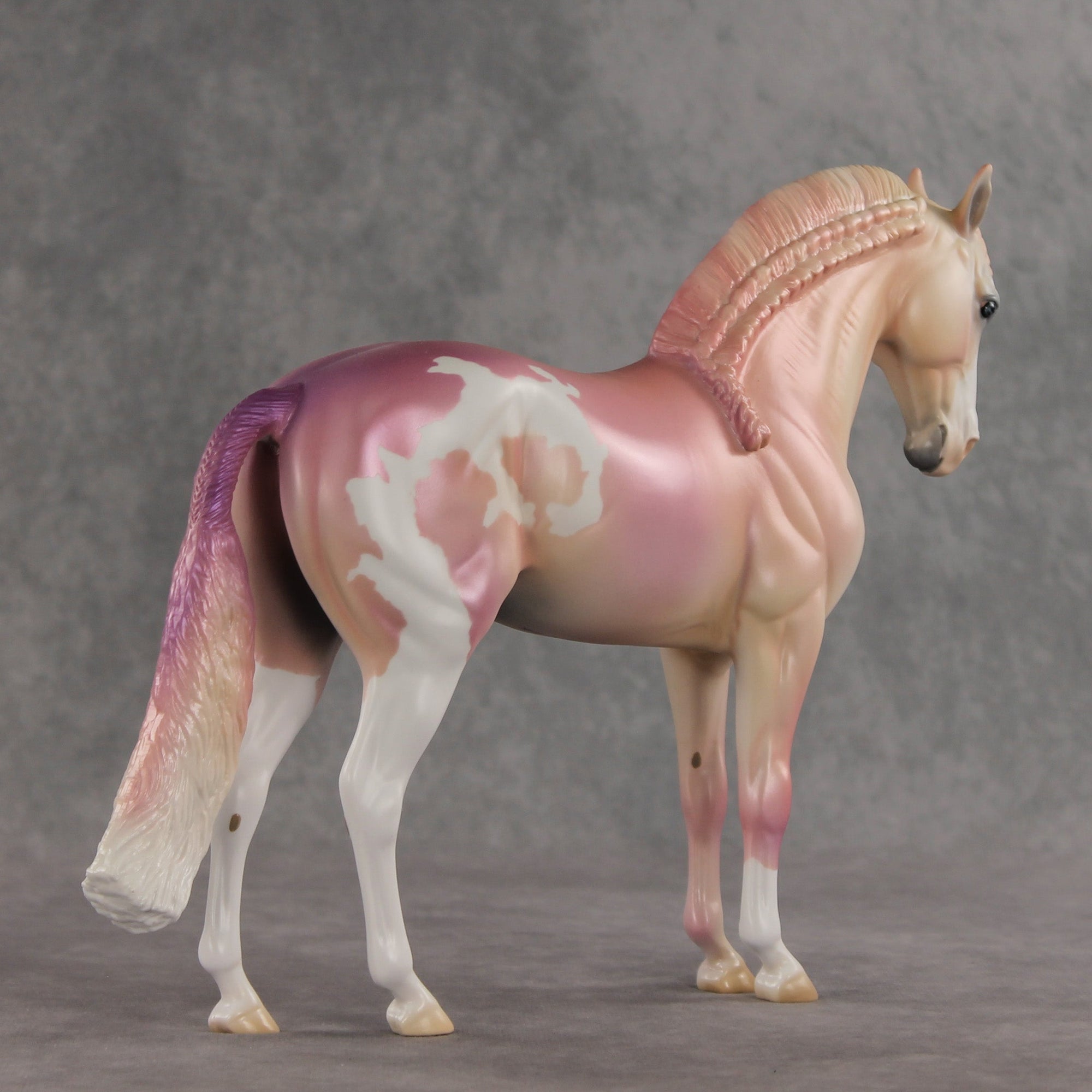 Icing on the Cake OOAK FCM Andalusian by Jess Hamill VV26