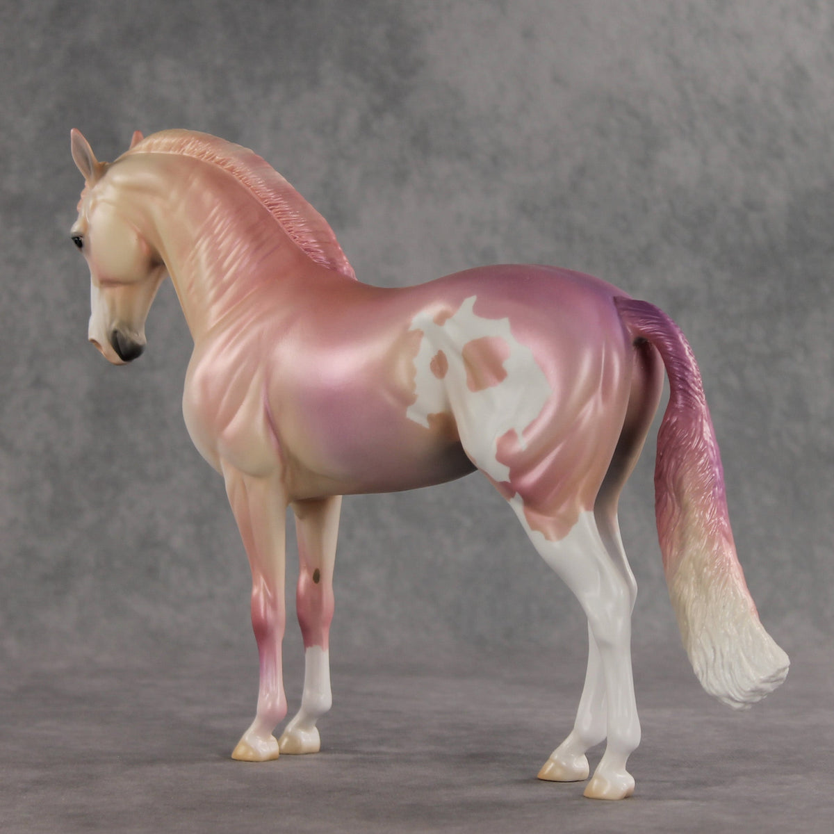 Icing on the Cake OOAK FCM Andalusian by Jess Hamill VV26