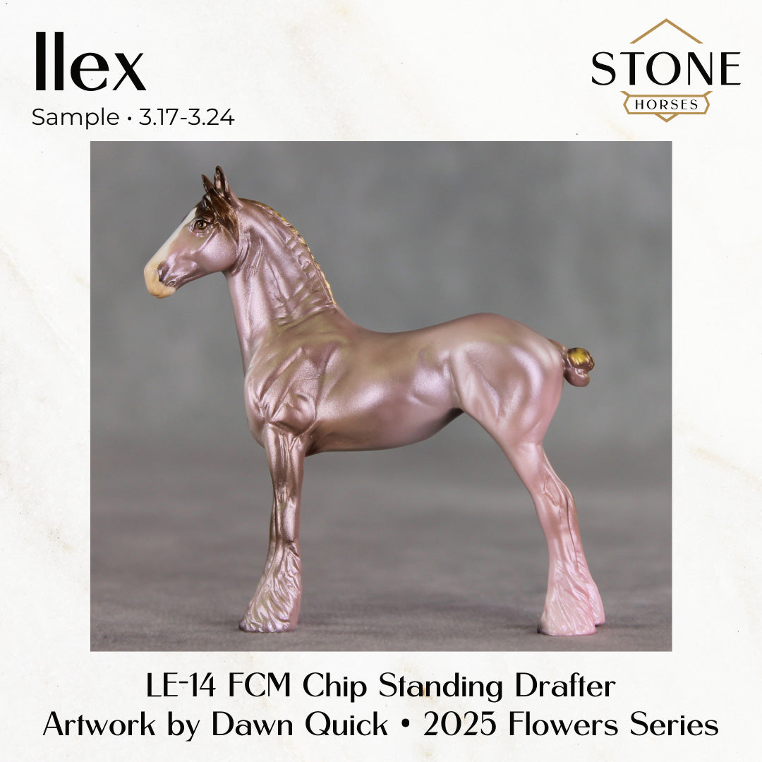 SAMPLE Ilex LE-14 FCM Chip Standing Drafter by Julie Keim SS0326