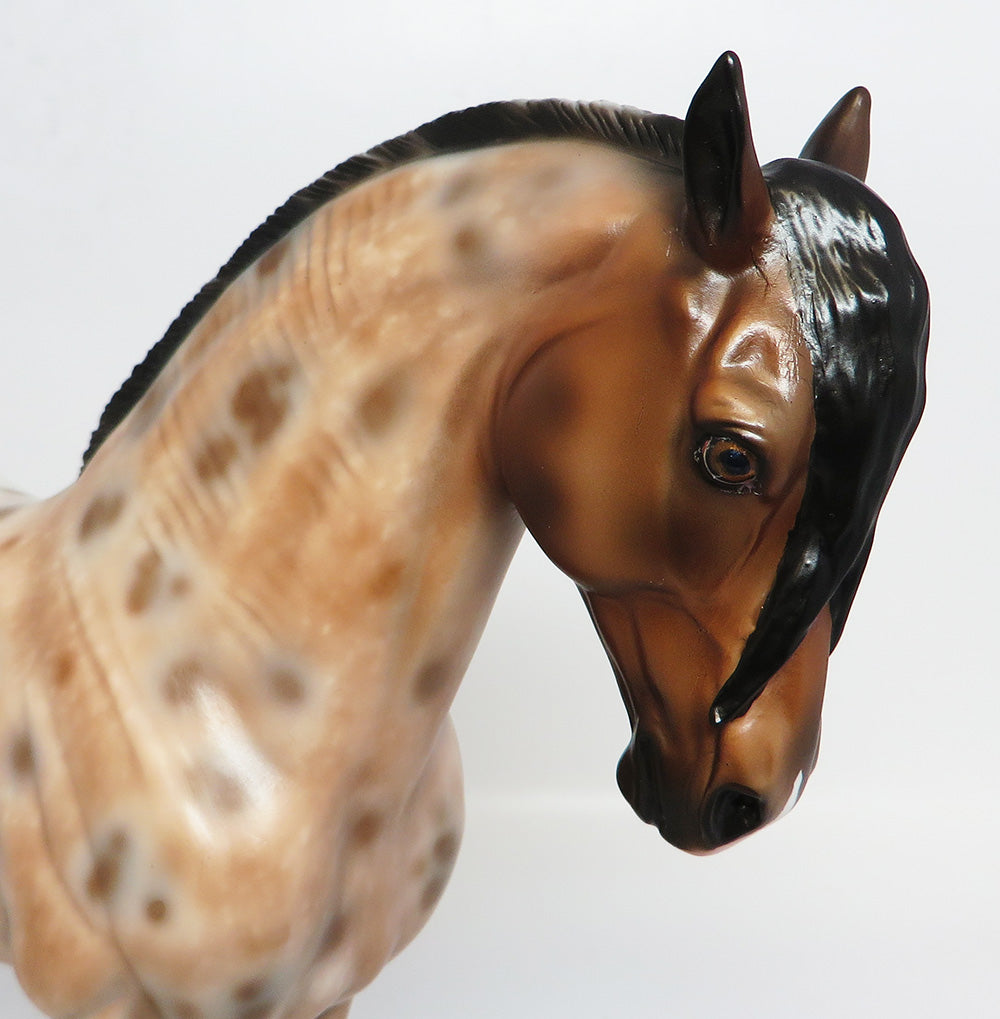 IMAGINATE~OOAK LOUD BAY APPALOOSA  ANDALUSIAN MODEL HORSE 4/24