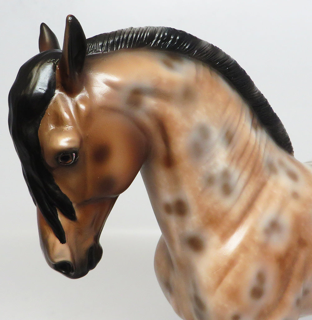 IMAGINATE~OOAK LOUD BAY APPALOOSA  ANDALUSIAN MODEL HORSE 4/24