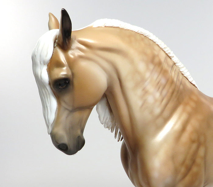 peter stone andalusian 