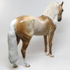 andalusian