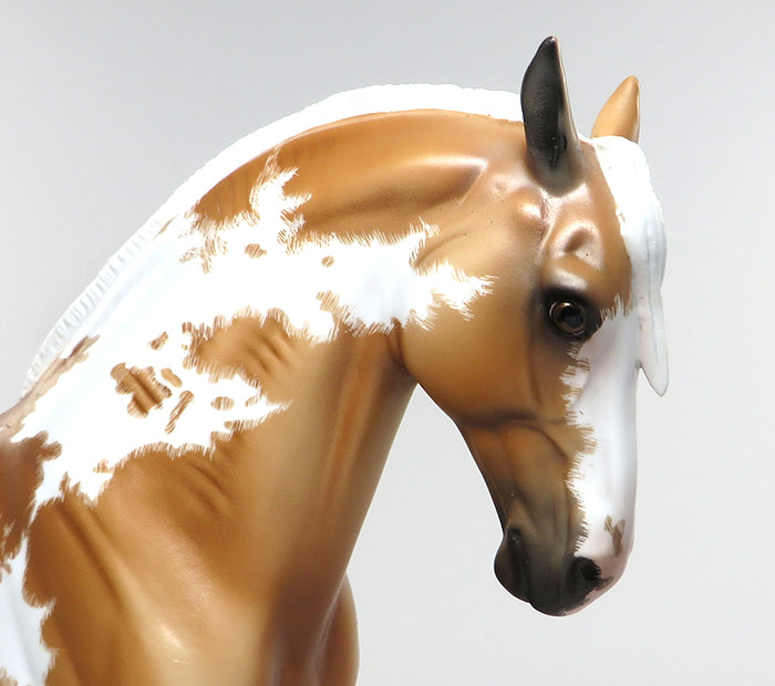 OPUS-OOAK ETCHED PALOMINO PAINT ANDALUSIAN BY DAWN QUICK 6/7