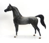 MAXIMUS-OOAK-DARK FLEA BIT GREY ARABIAN 9/4