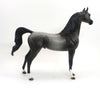 MAXIMUS-OOAK-DARK FLEA BIT GREY ARABIAN 9/4