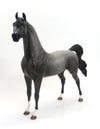 MAXIMUS-OOAK-DARK FLEA BIT GREY ARABIAN 9/4