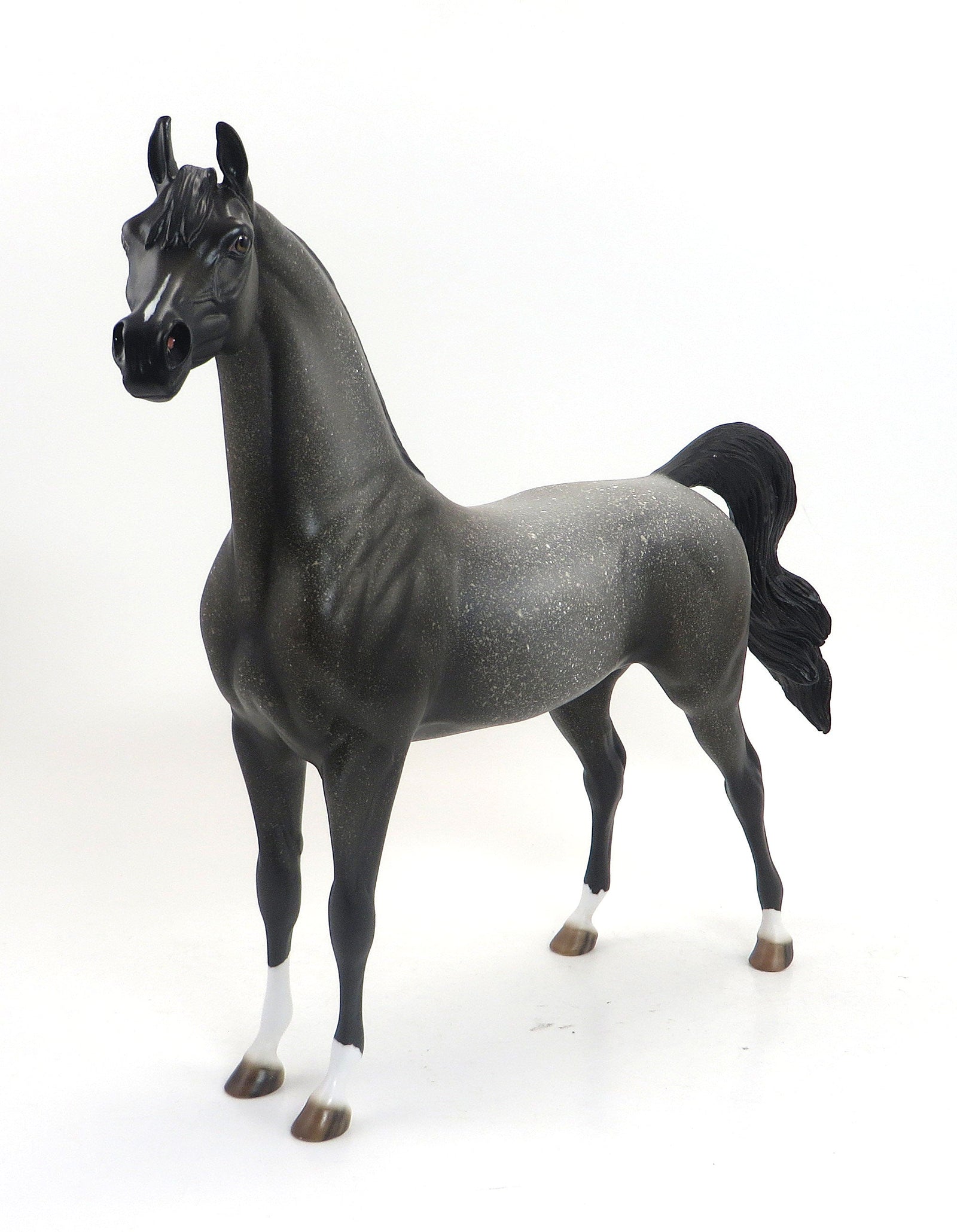 MAXIMUS-OOAK-DARK FLEA BIT GREY ARABIAN 9/4