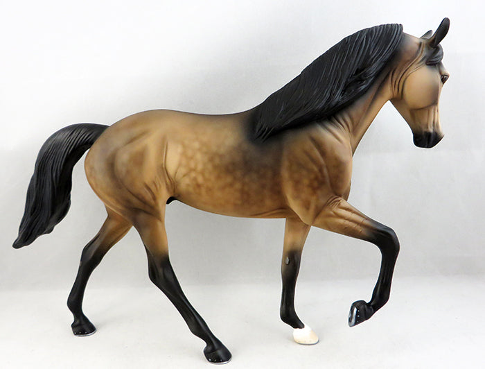 Tennessee Walking Horse