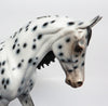 ORB~LOUD APPALOOSA THOROUGHBRED MODEL HORSE BY DAWN QUICK 10/27/17