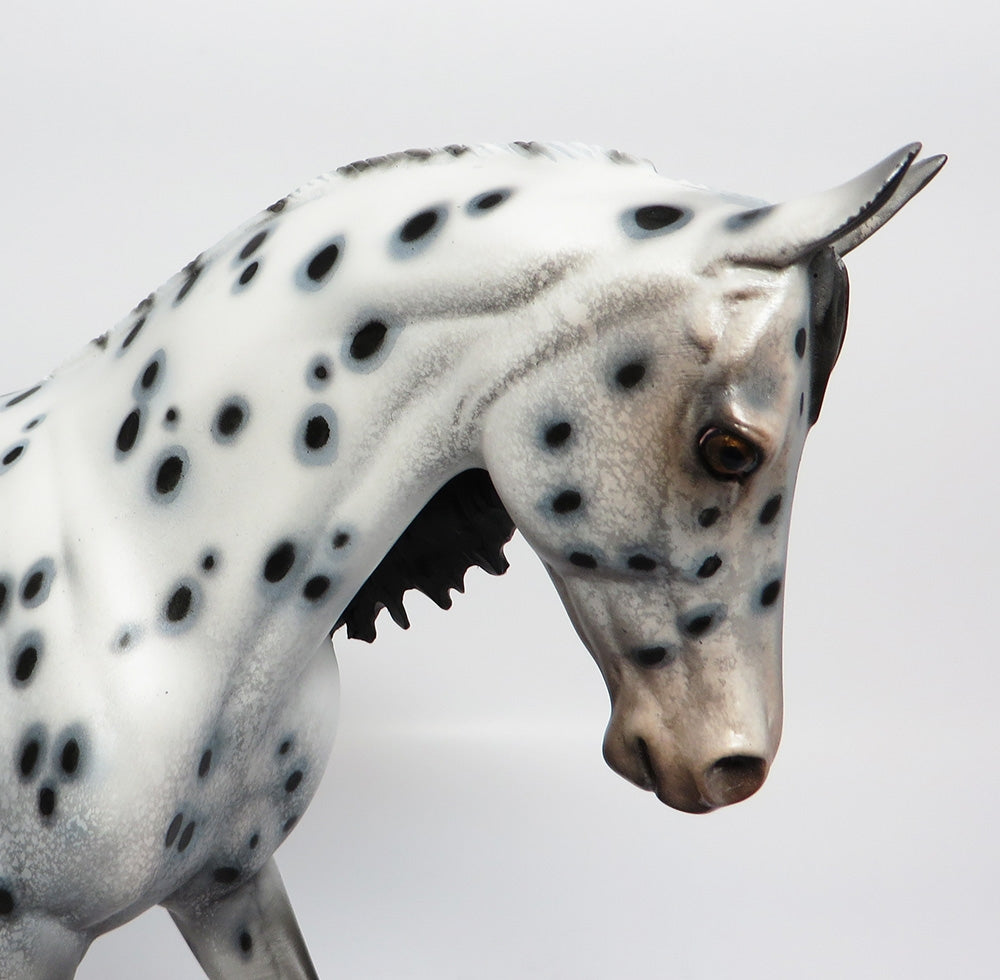 ORB~LOUD APPALOOSA THOROUGHBRED MODEL HORSE BY DAWN QUICK 10/27/17