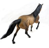 Buckskin