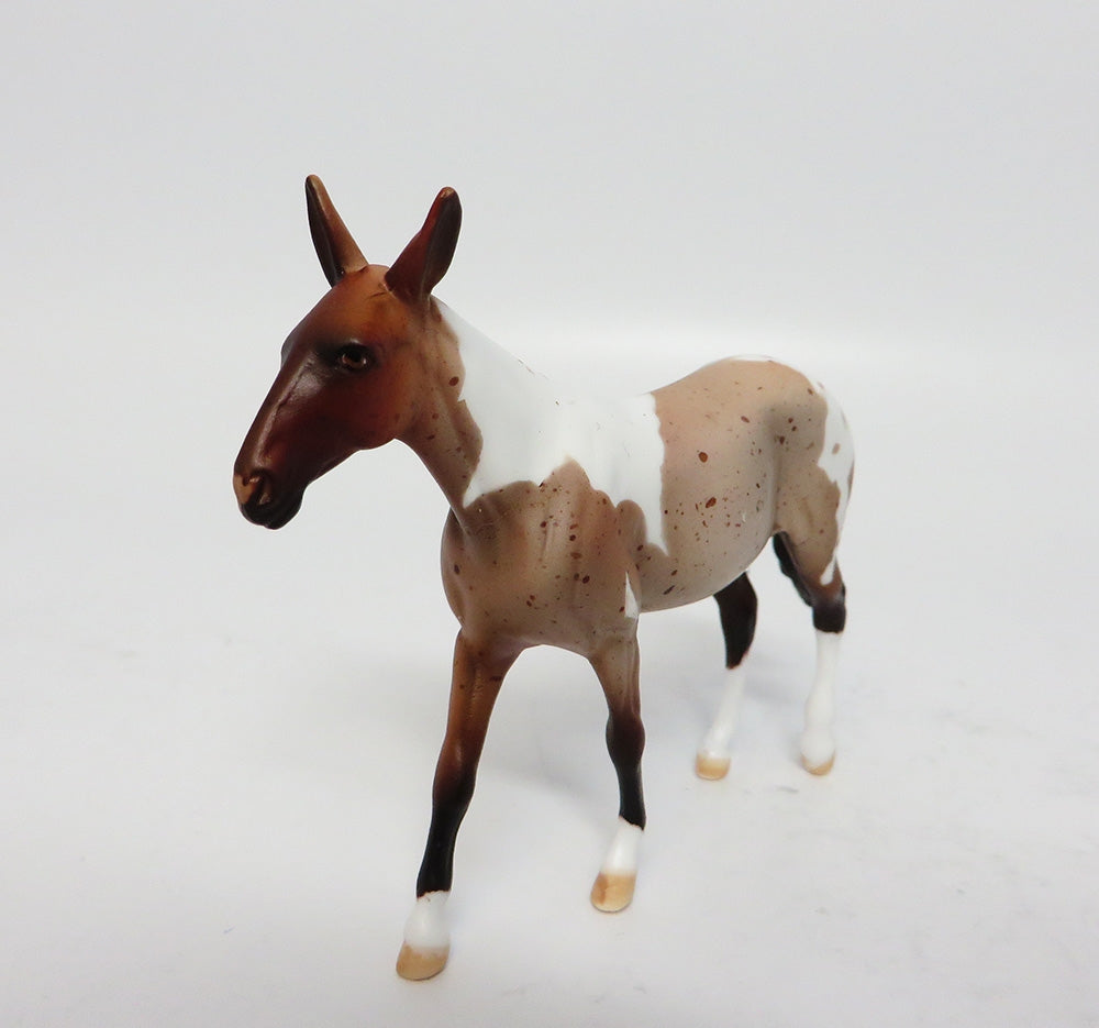 JEEPERS CREEPERS~OOAK BAY ROAN PINTALOOSA MULE CHIP BY DAWN QUICK 10/27/17