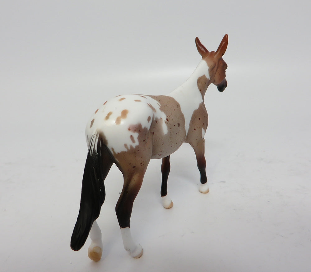 JEEPERS CREEPERS~OOAK BAY ROAN PINTALOOSA MULE CHIP BY DAWN QUICK 10/27/17