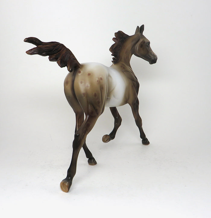 OOAK Appaloosa Yearling