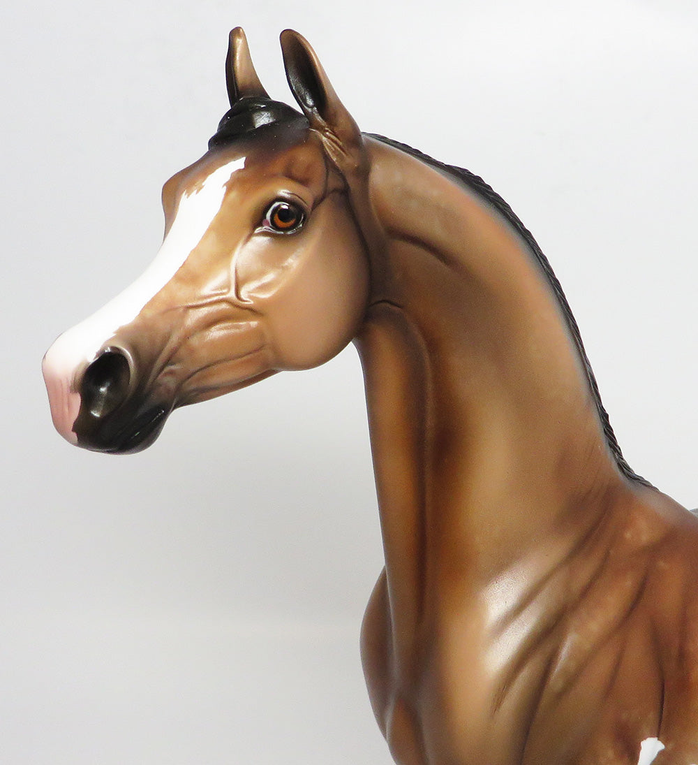 MIDWAY-OOAK BAY ARABIAN SABINO MODEL HORSE 4/21