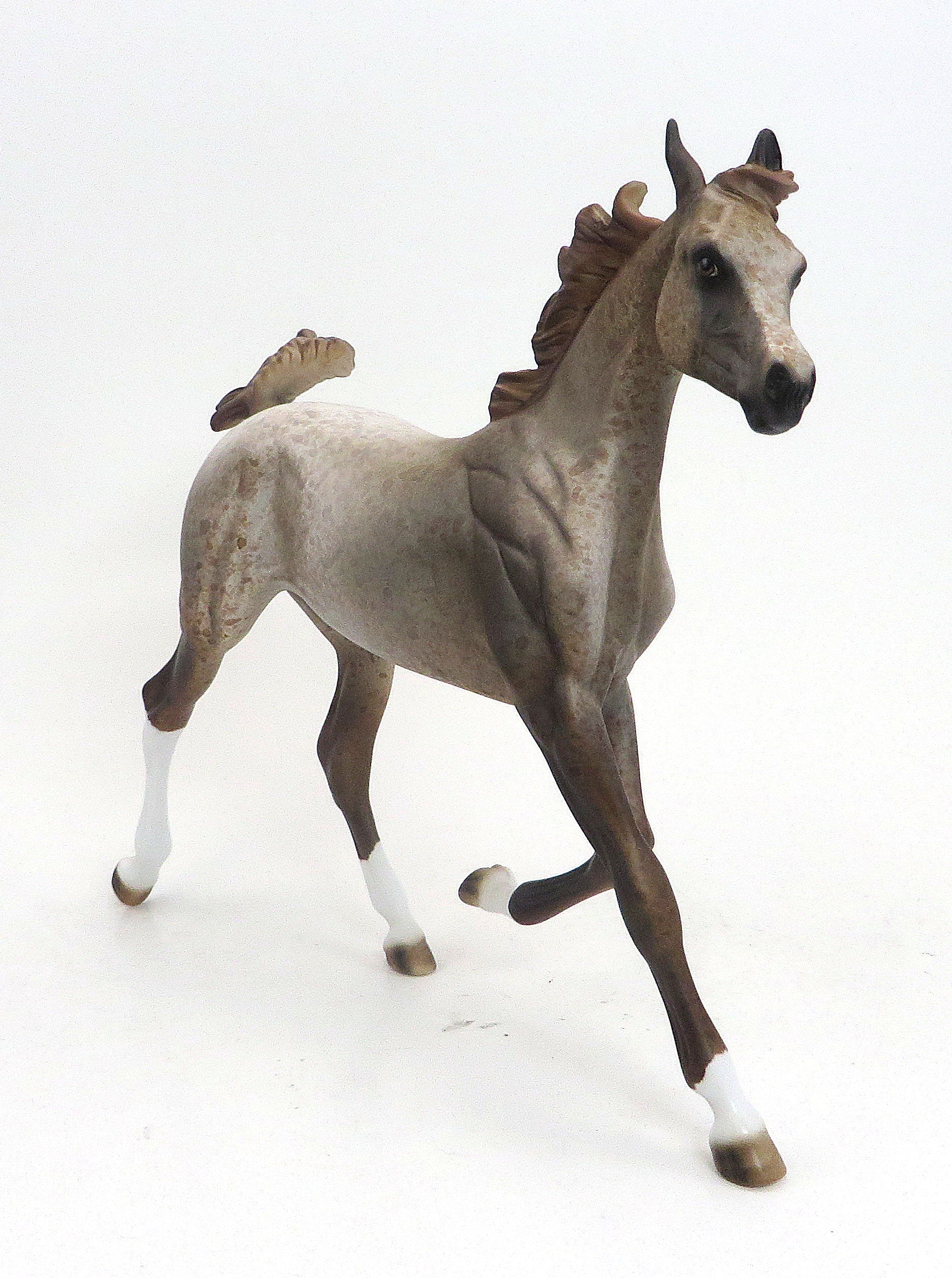 SELU-Corn Goddess - OOAK  Light Chestnut Appaloosa Yearling 9/11
