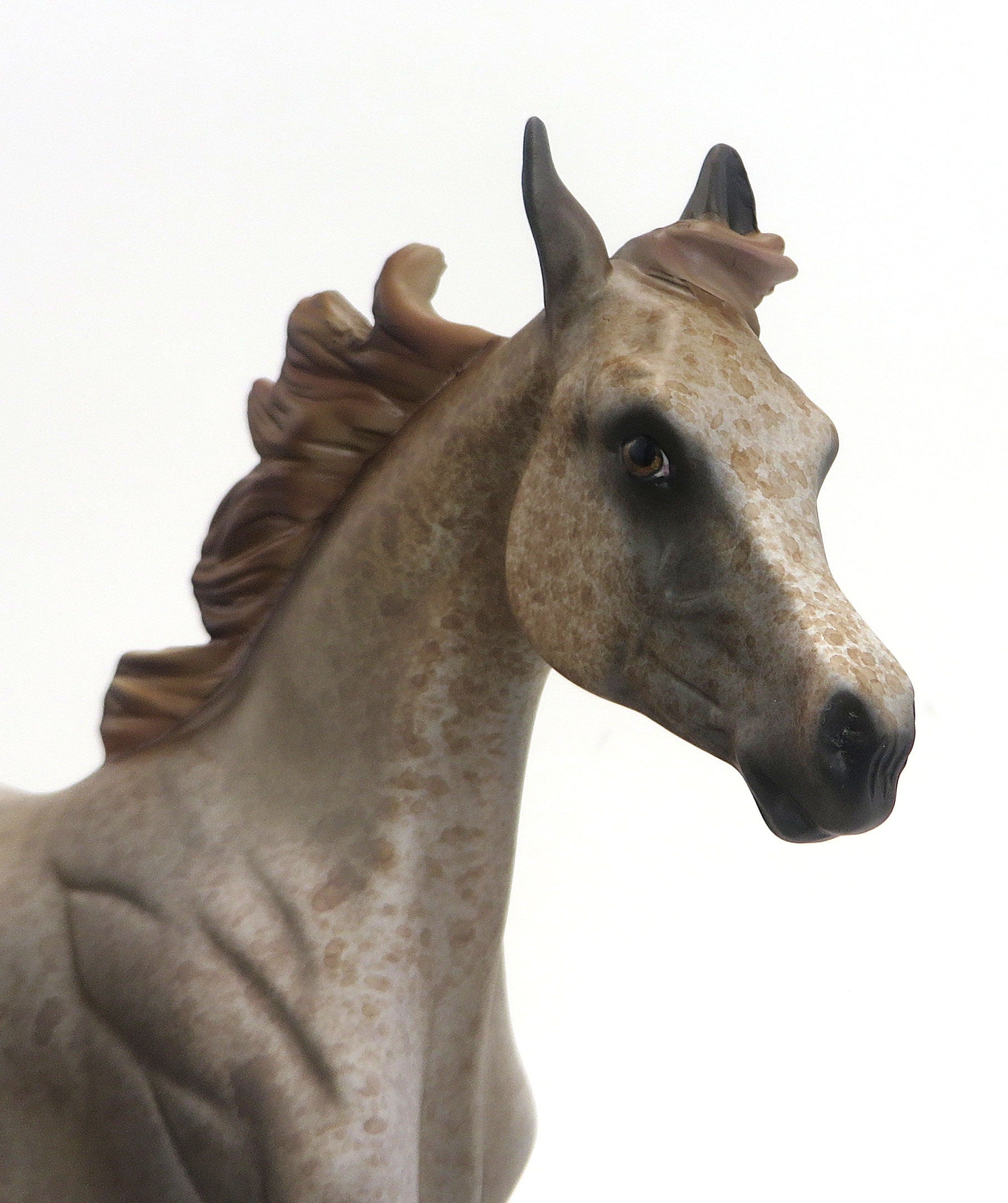SELU-Corn Goddess - OOAK  Light Chestnut Appaloosa Yearling 9/11