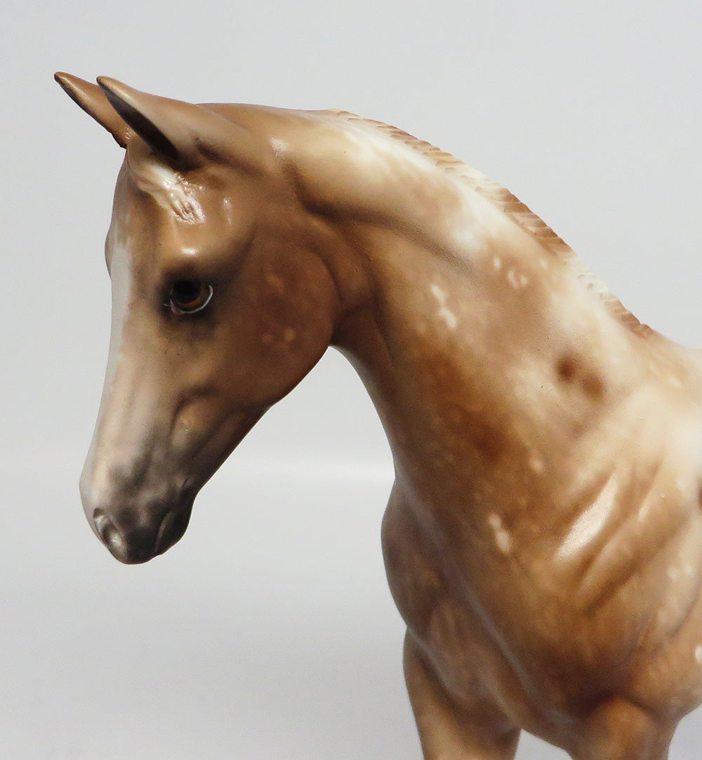 NO ANSWER~OOAK CHESTNUT APPALOOSA WEANLING MODEL HORSE 4/21