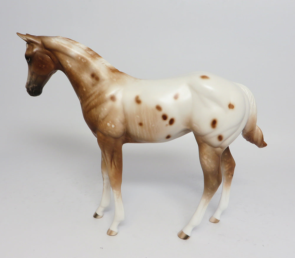appaloosa
