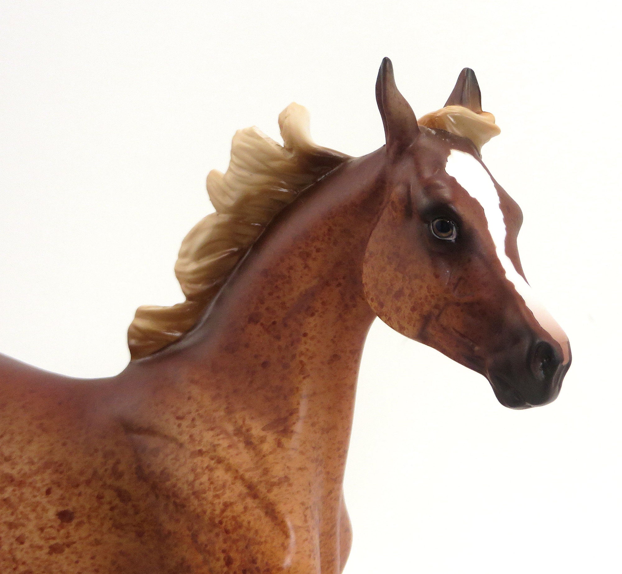 POMONA &quot;Harvest Godess&quot;