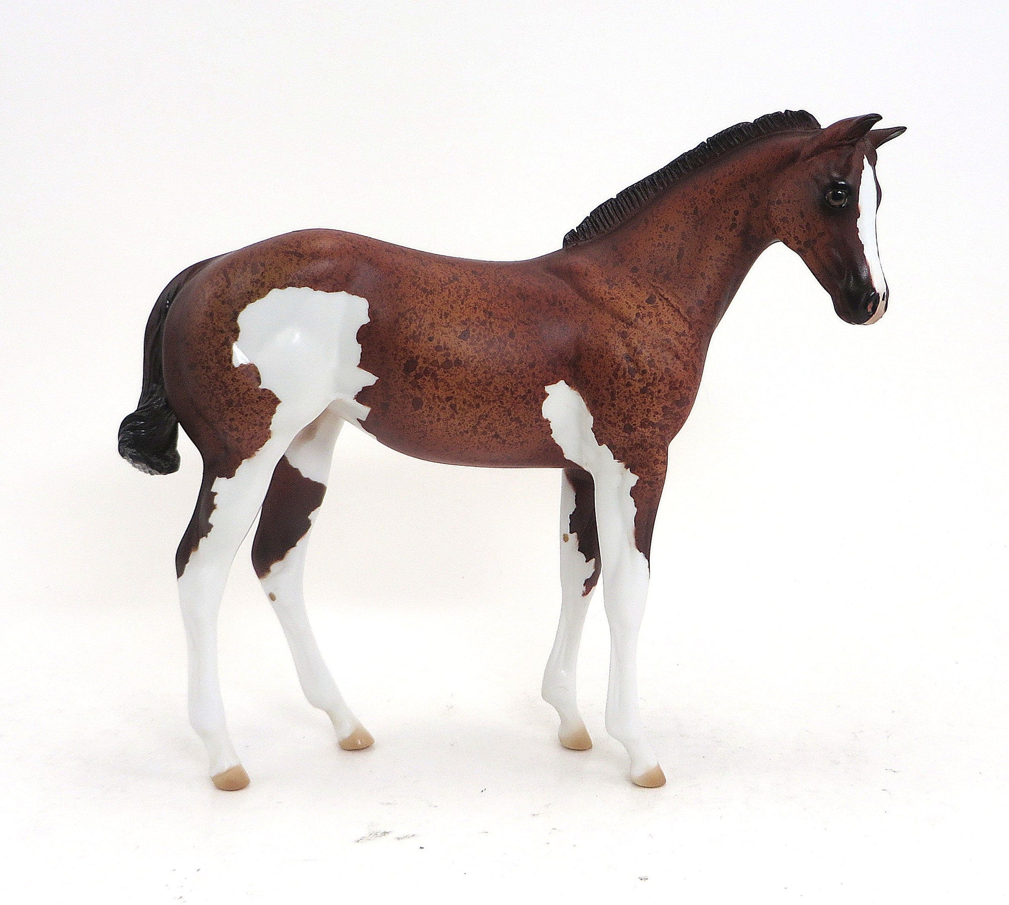 INKA- OOAK Chestnut Roan Paint Weanling  9/11