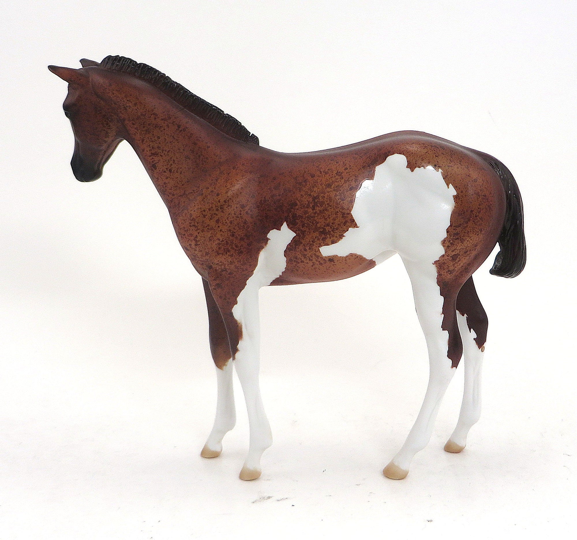 INKA- OOAK Chestnut Roan Paint Weanling  9/11