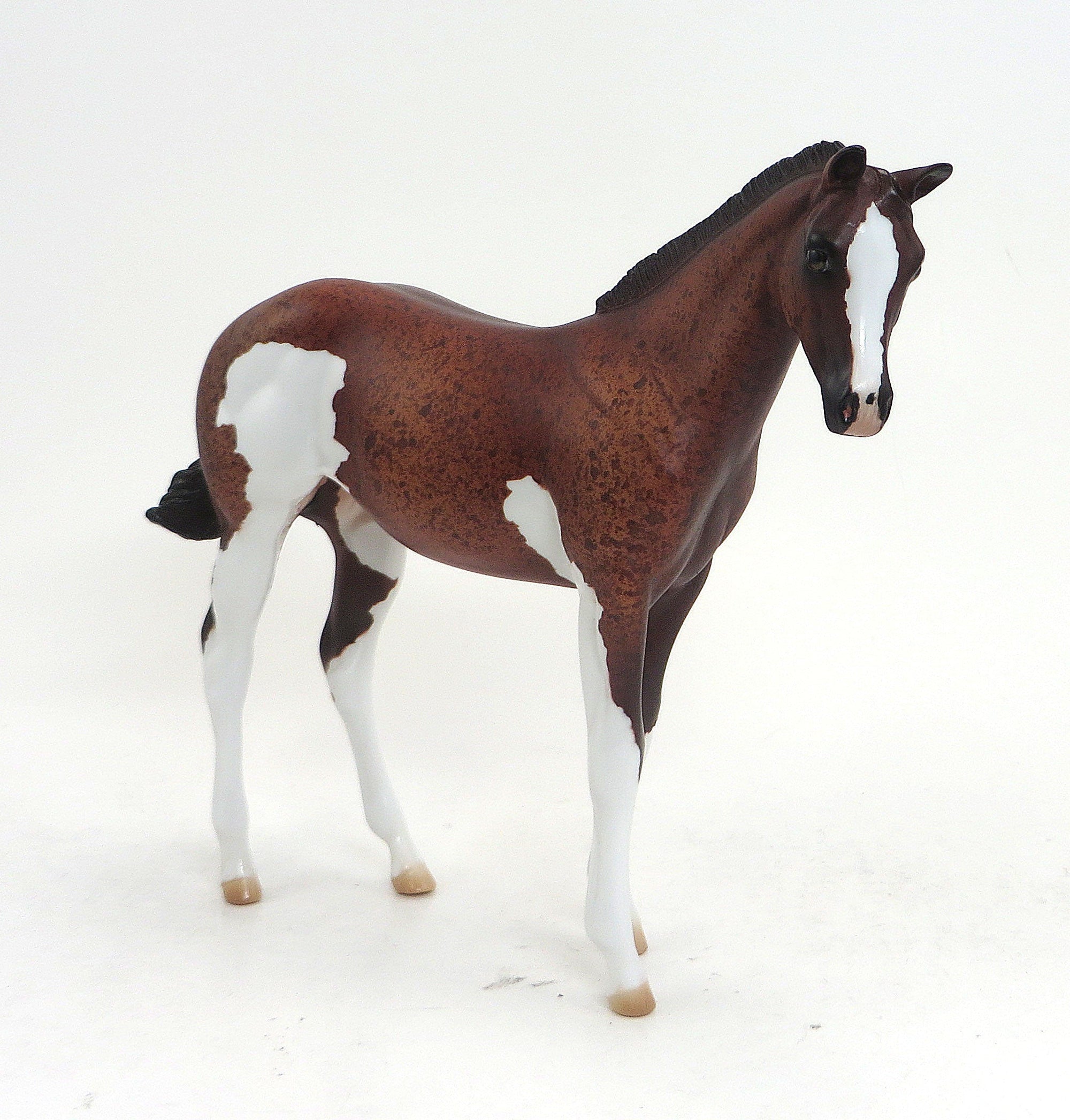 INKA- OOAK Chestnut Roan Paint Weanling  9/11