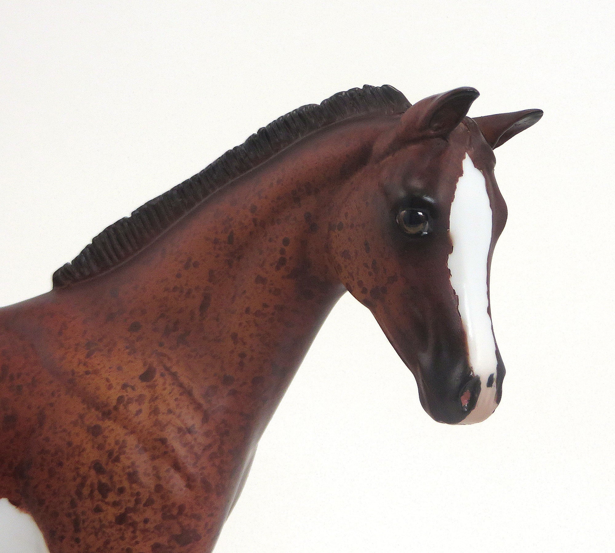 INKA- OOAK Chestnut Roan Paint Weanling  9/11