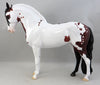 Andalusian