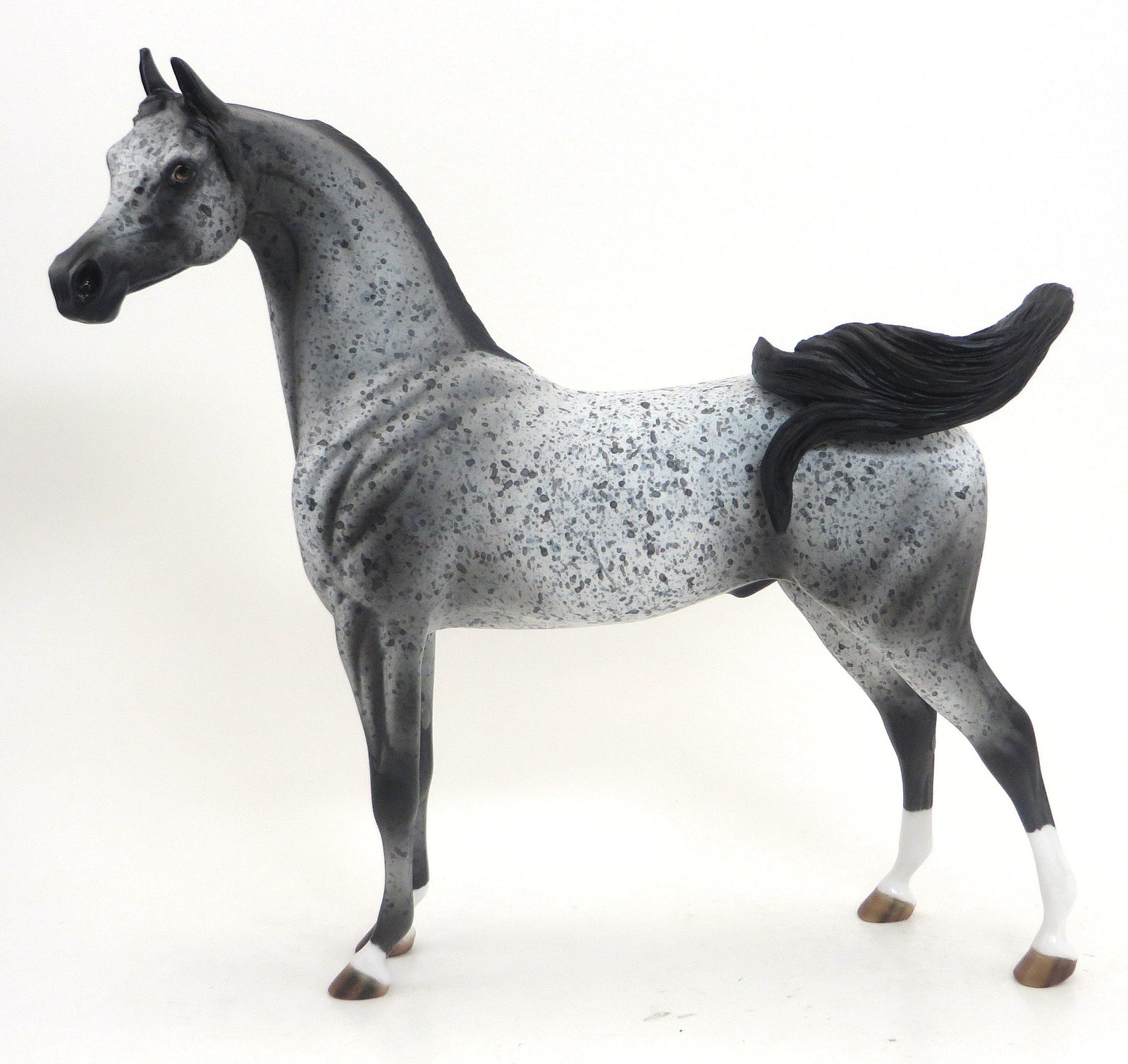 SUPERSTITION- OOAK-BLACK APPALOOSA ARABIAN 9/11