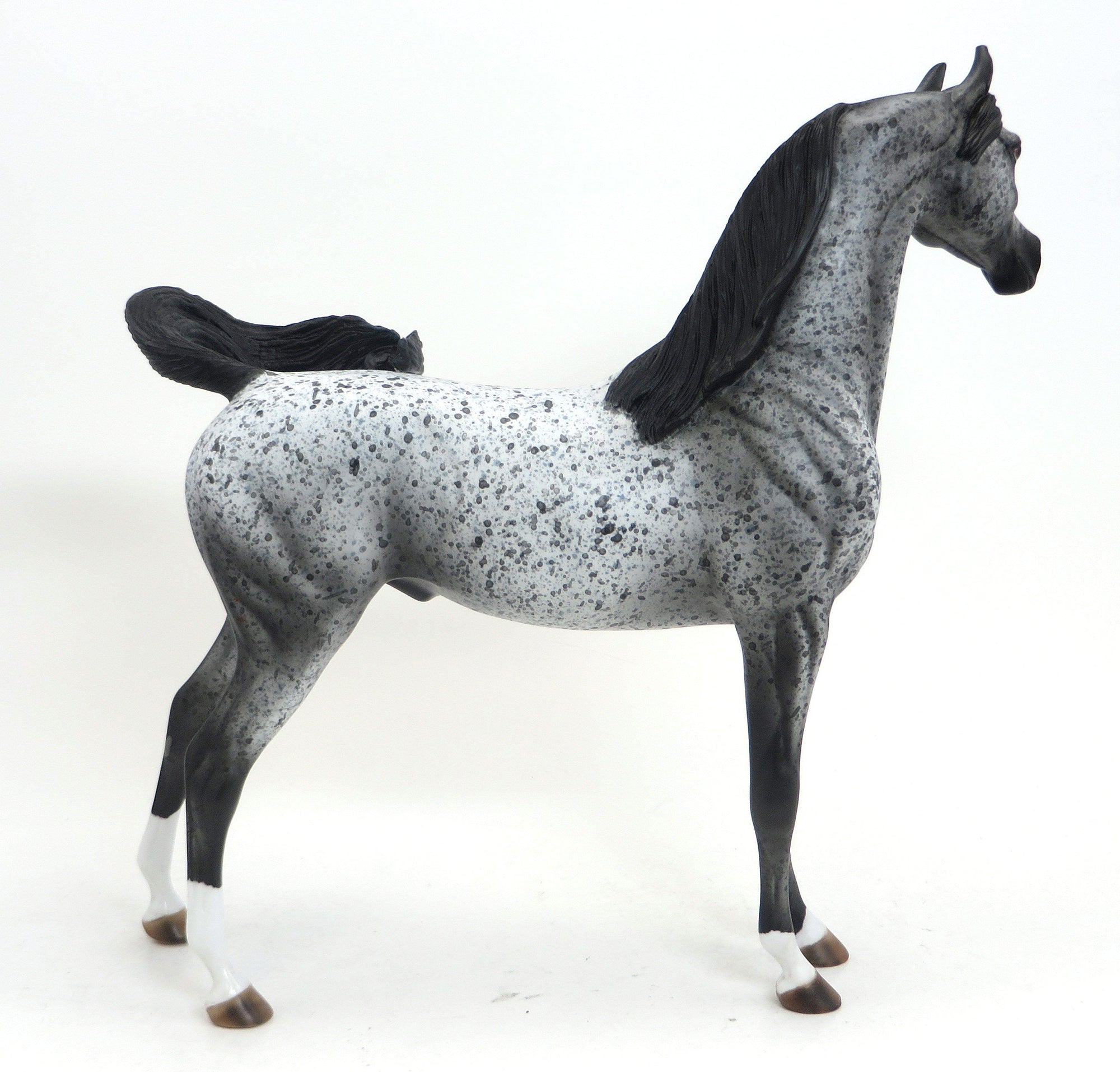 SUPERSTITION- OOAK-BLACK APPALOOSA ARABIAN 9/11
