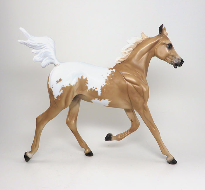 YEALRING PALOMINO APPALOOSA