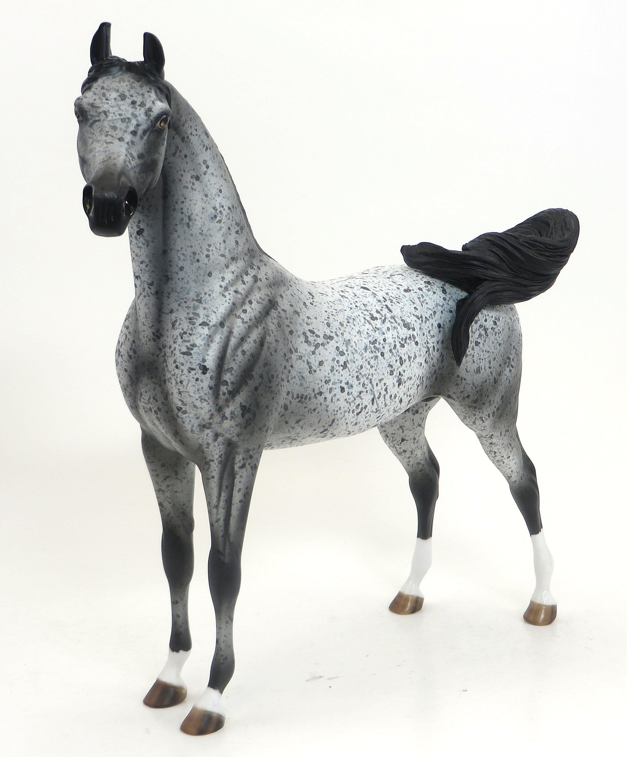 SUPERSTITION- OOAK-BLACK APPALOOSA ARABIAN 9/11