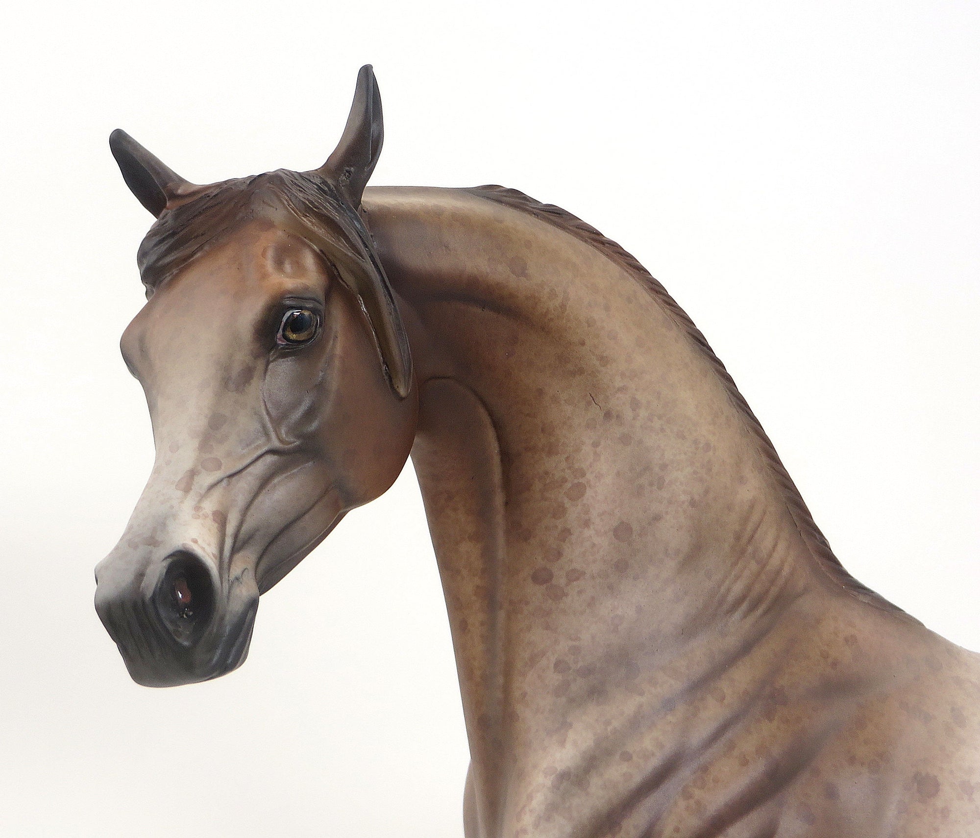 EPONA (Goddess Protector of Horses) - OOAK CHESTNUT APPALOOSA ARABIAN by Allen - 9/11