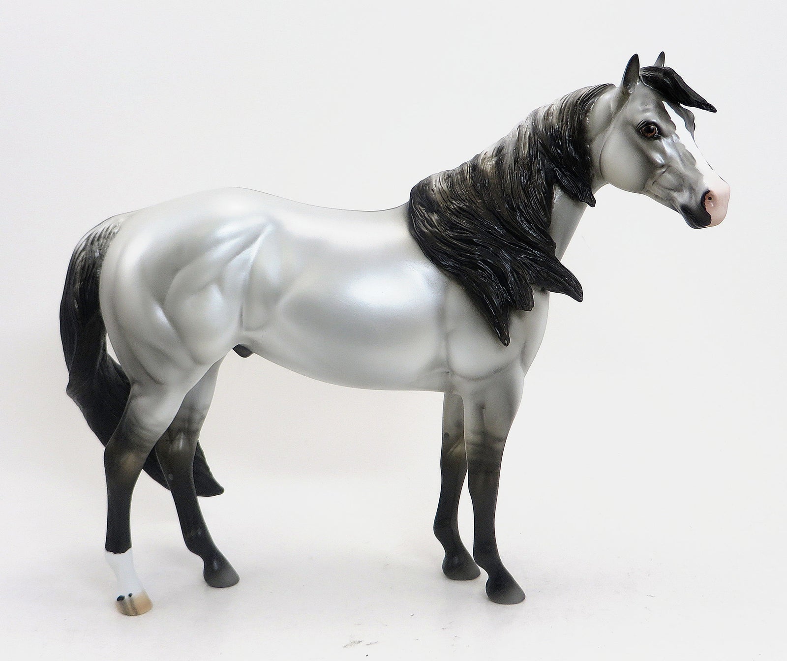 VULCAN ("God of Fire") - Grey Grulla  Paint Stock Horse with Black Points - LE6 - 9/11