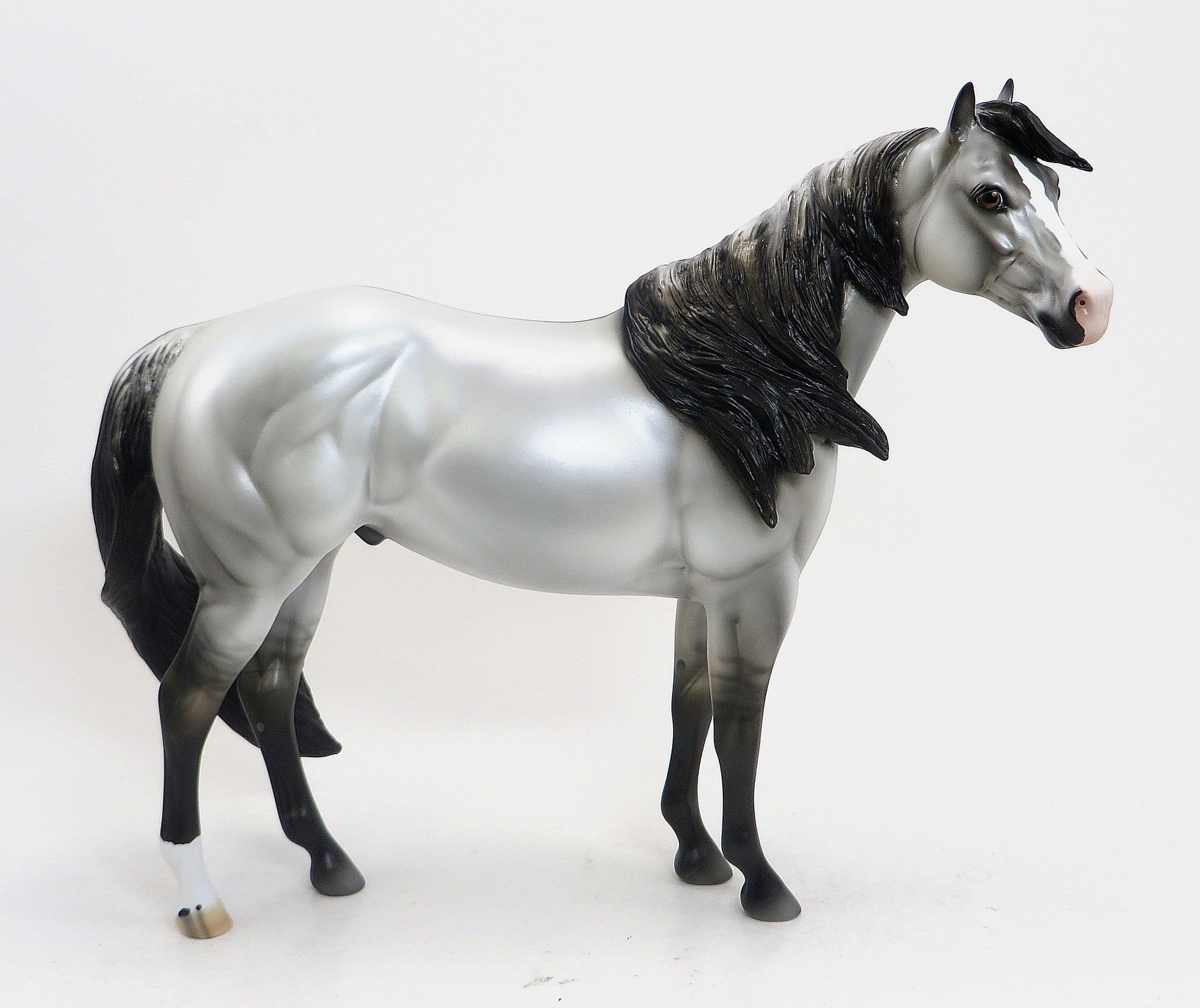 VULCAN ("God of Fire") - Grey Grulla  Paint Stock Horse with Black Points - LE6 - 9/11