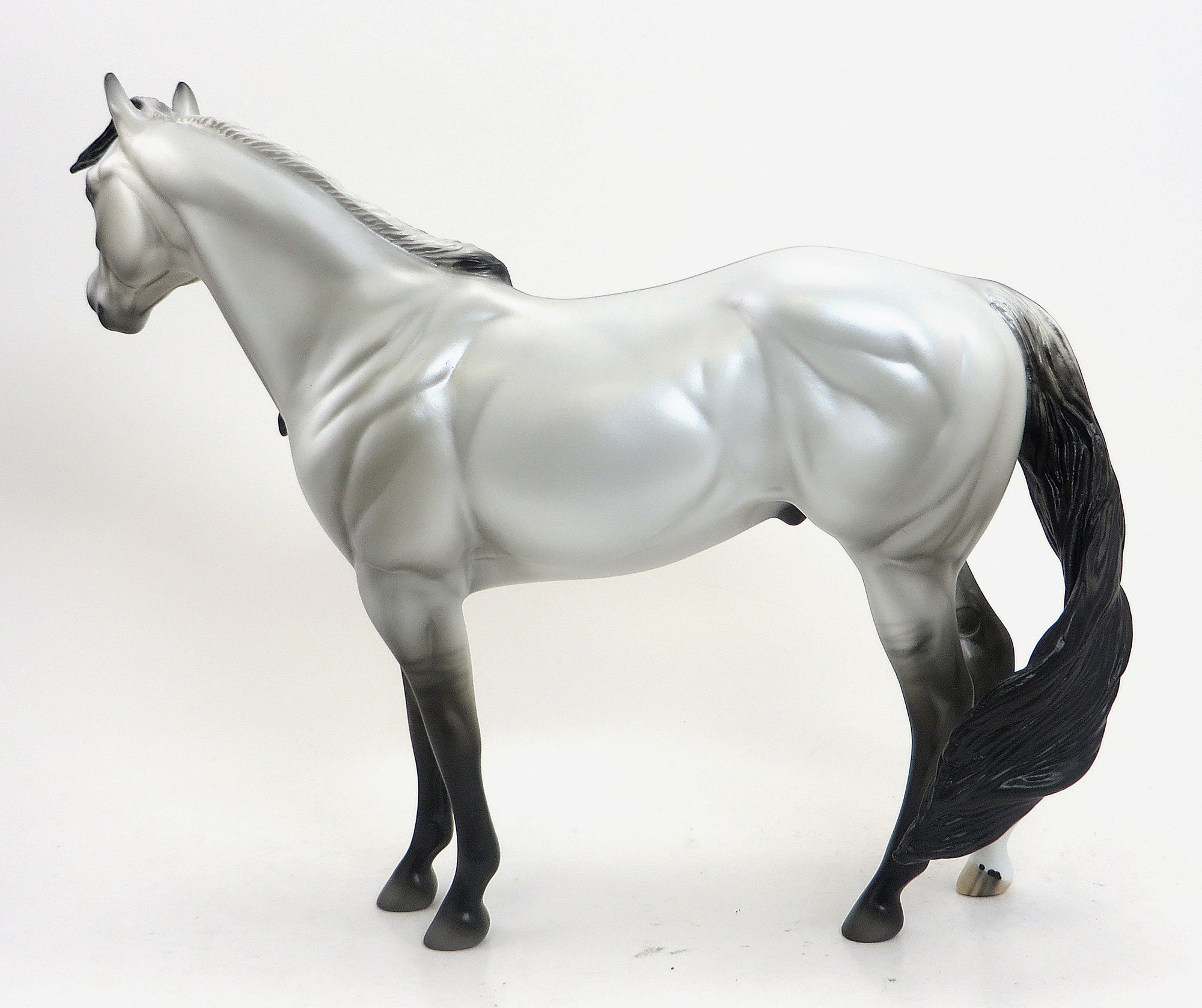 VULCAN (&quot;God of Fire&quot;) - Grey Grulla  Paint Stock Horse with Black Points - LE6 - 9/11