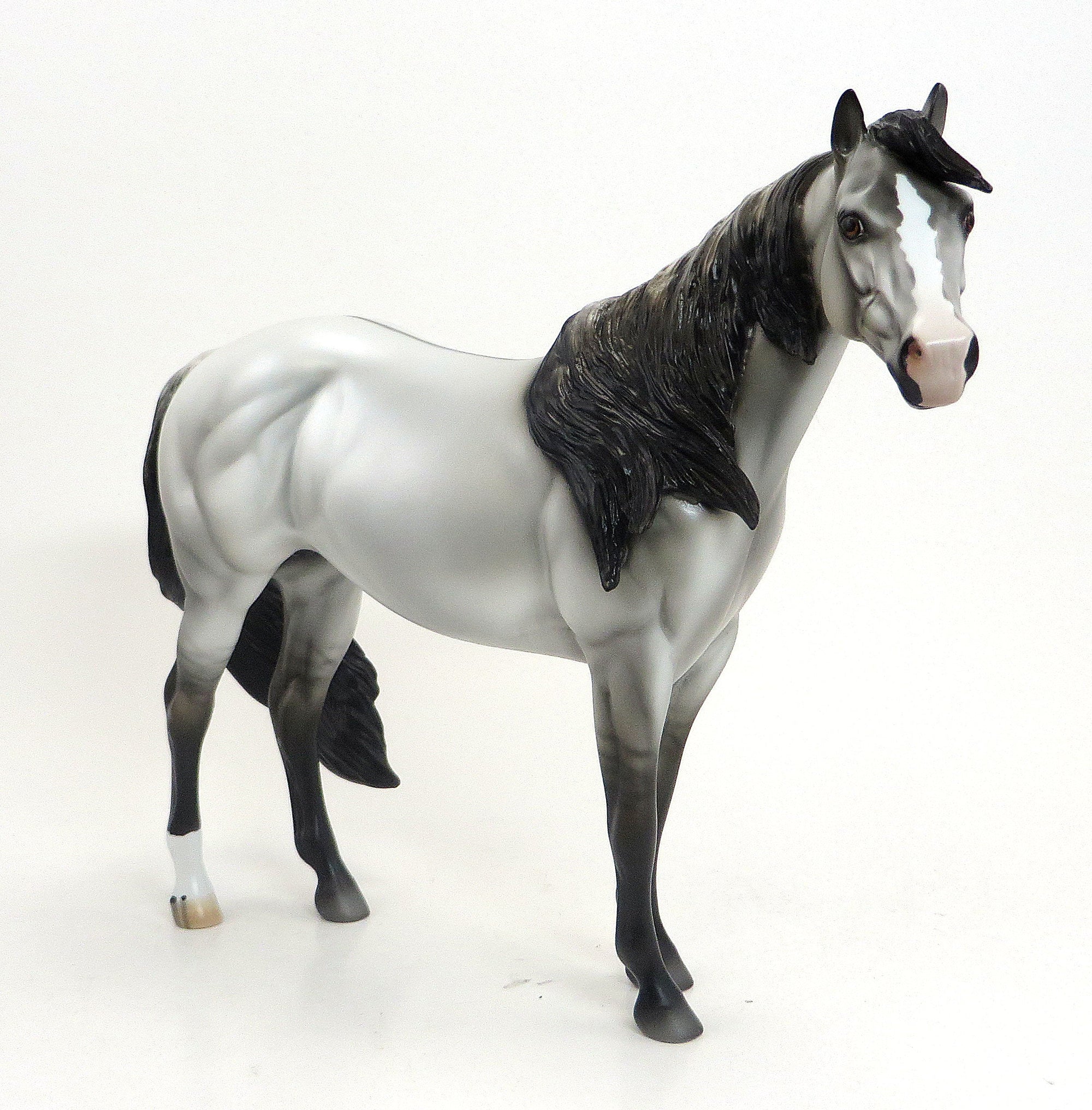 VULCAN (&quot;God of Fire&quot;) - Grey Grulla  Paint Stock Horse with Black Points - LE6 - 9/11
